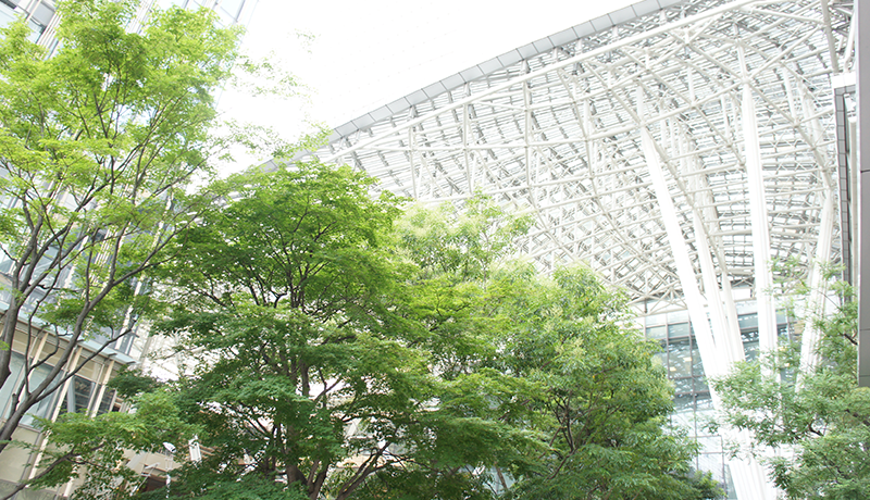 博盈最新官网会员注册 私は今お嬢様だから ホウ・ランシンは眉を上げた